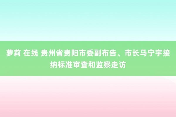 萝莉 在线 贵州省贵阳市委副布告、市长马宁宇接纳标准审查和监察走访