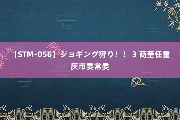 【STM-056】ジョギング狩り！！ 3 商奎任重庆市委常委