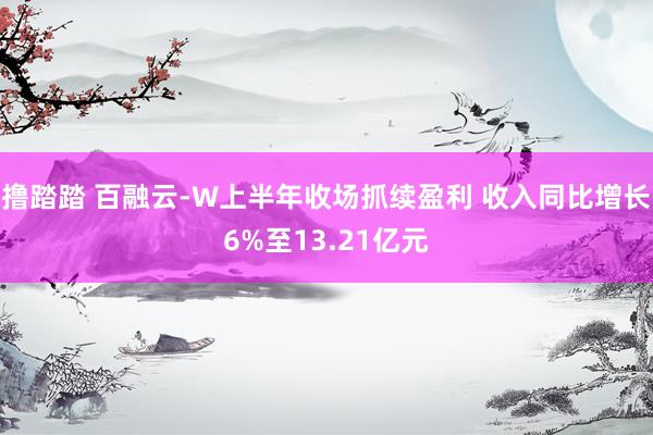 撸踏踏 百融云-W上半年收场抓续盈利 收入同比增长6%至13.21亿元